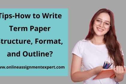 Term Paper writing service
